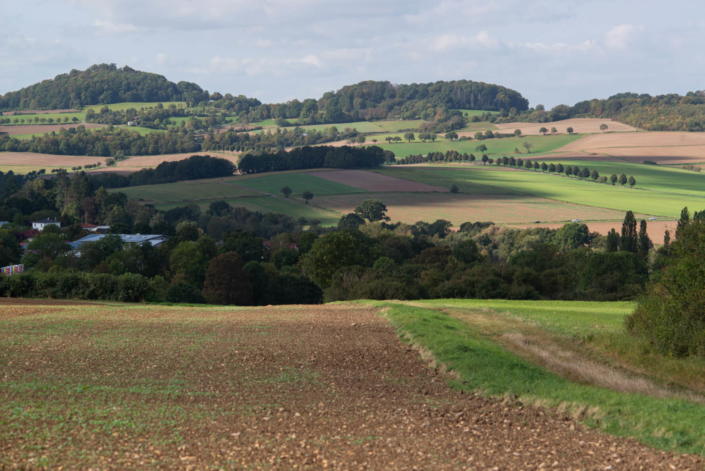 x-HWGHV_2023-09-30_D800_1372