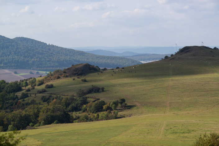 x-HWGHV_2023-09-30_D800_1486