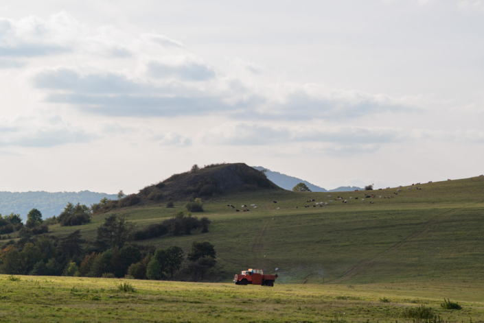 x-HWGHV_2023-09-30_D800_1748