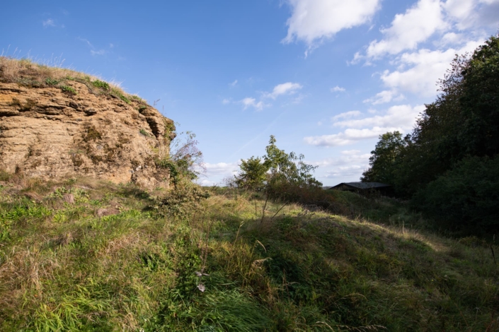 x-HWGHV_2023-09-30_D850_1174