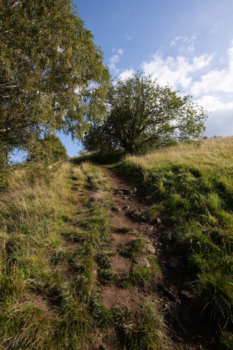 x-HWGHV_2023-09-30_D850_1191